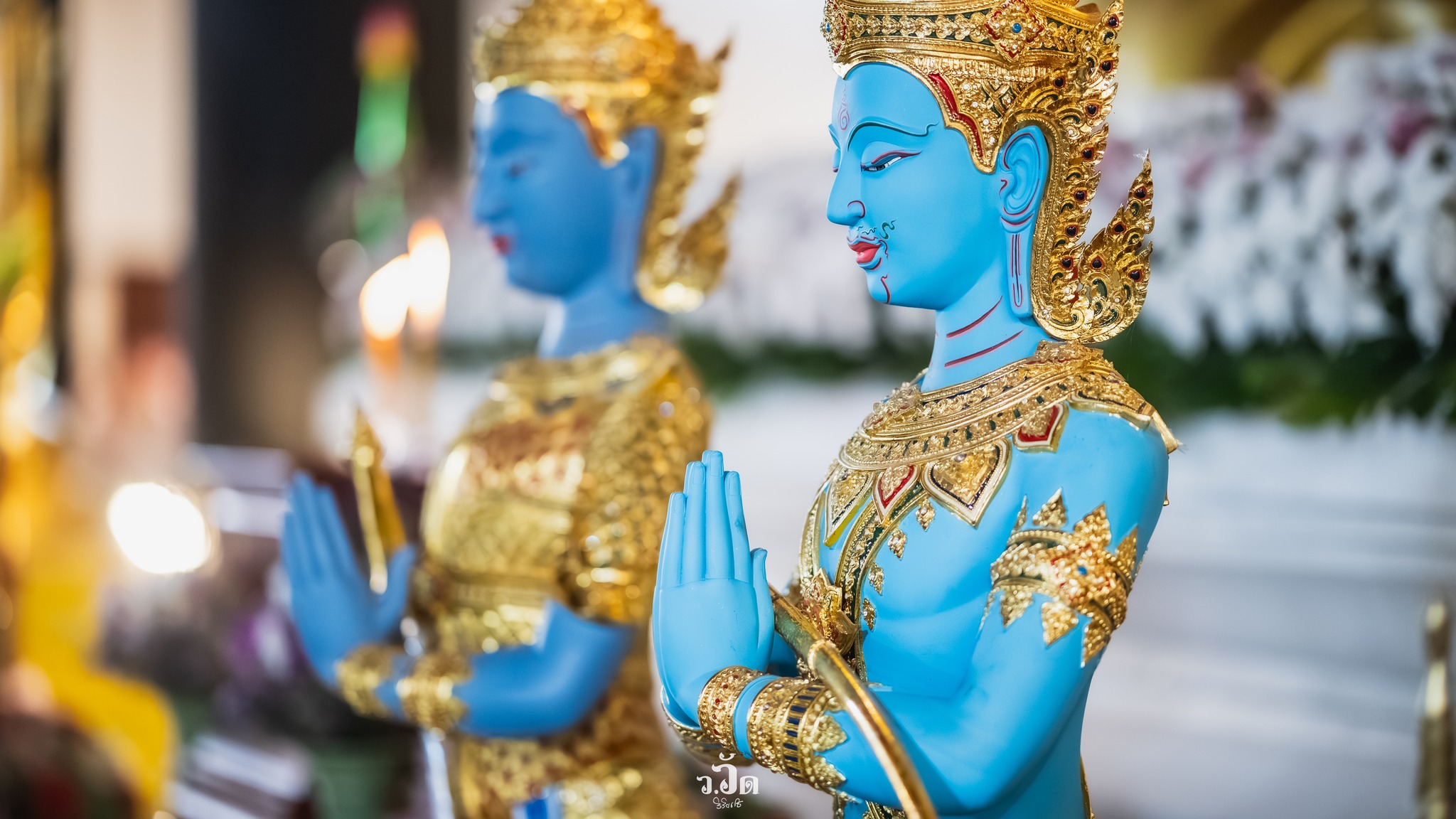 Gallery of วัดป่าพรหมปัญโญ