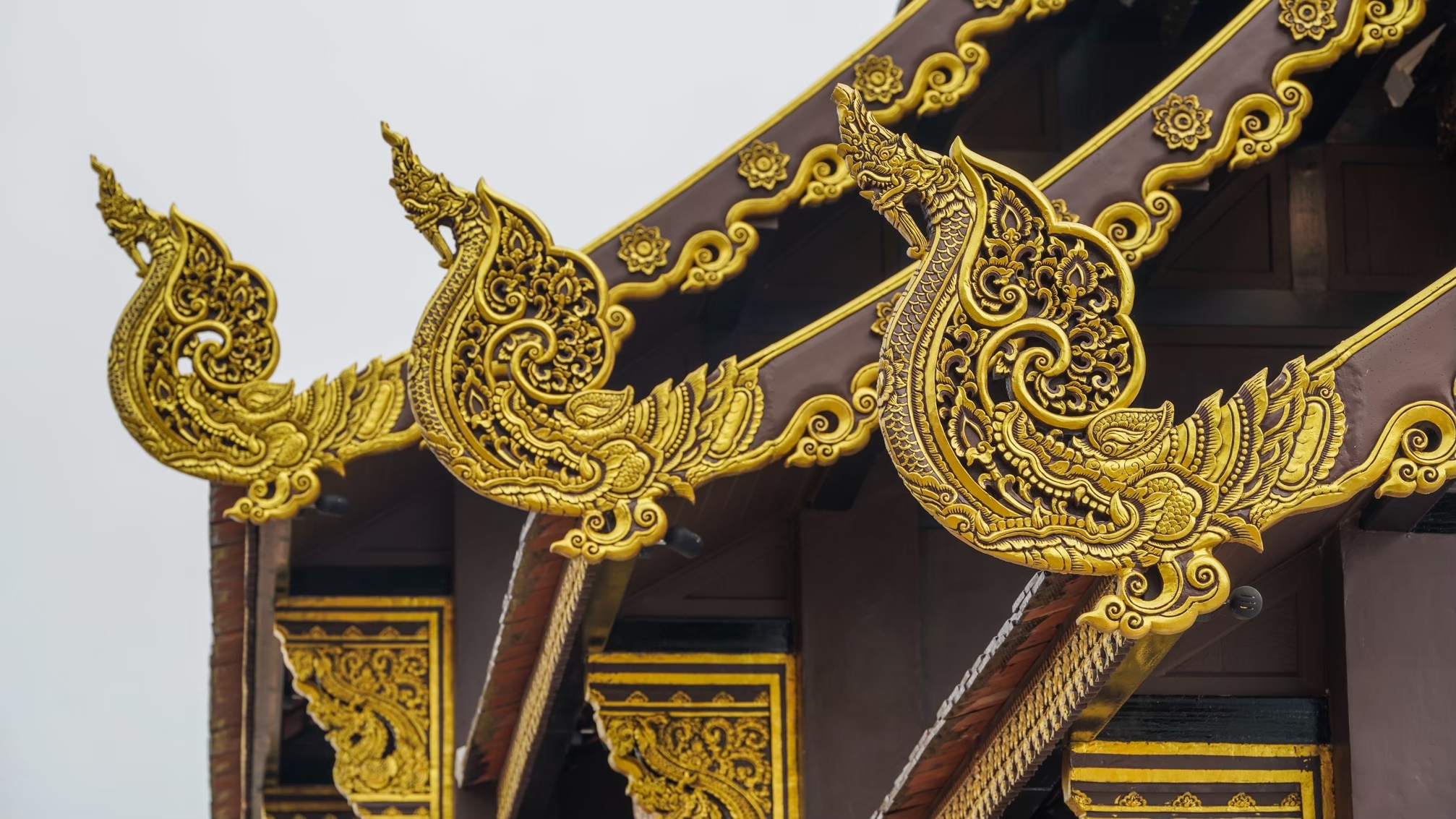 Gallery of วัดทุ่งต้อม