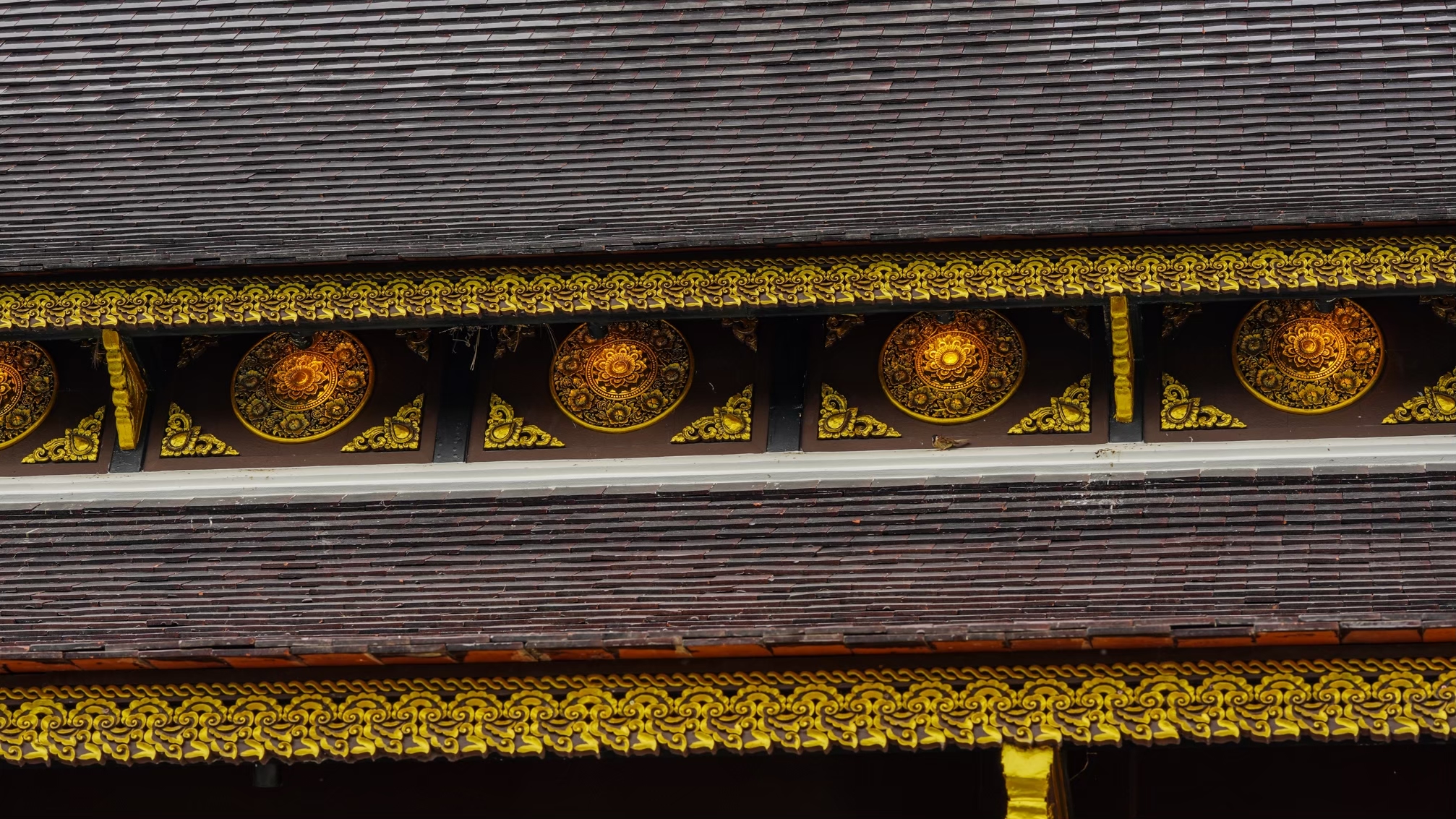 Gallery of วัดทุ่งต้อม